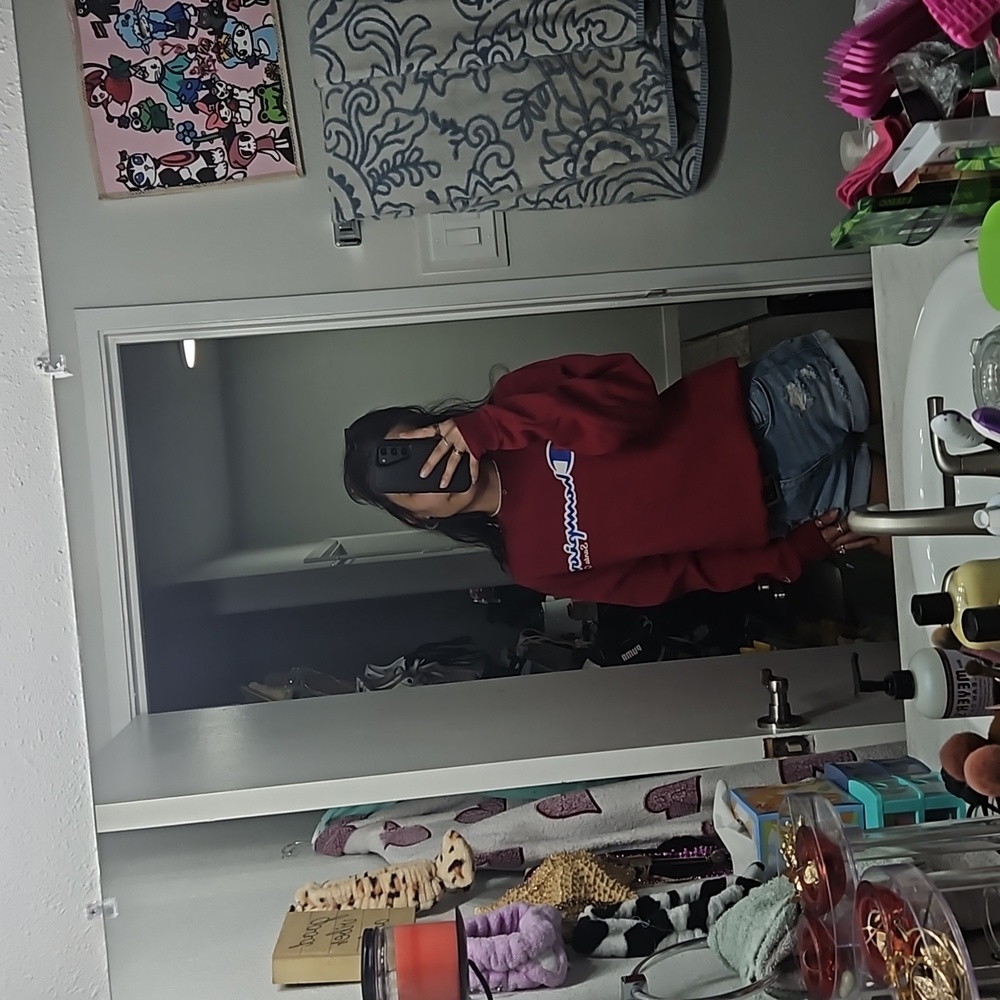 champion Santa Cruz sweater